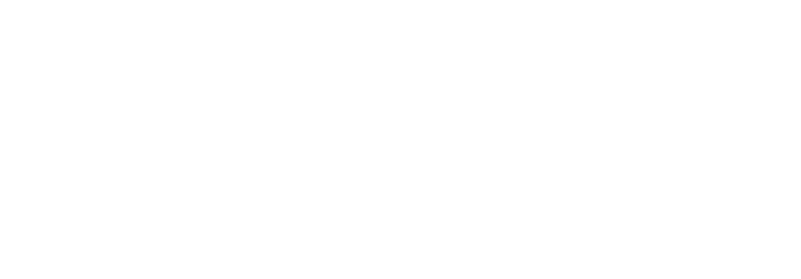 LMNL Consulting
